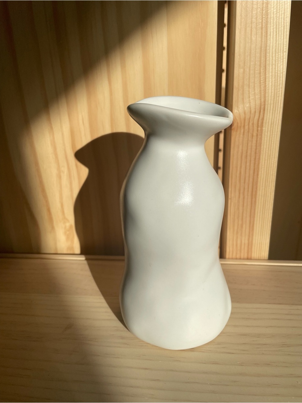 Hobby Lobby Matte White Sculptural Ceramic Vase